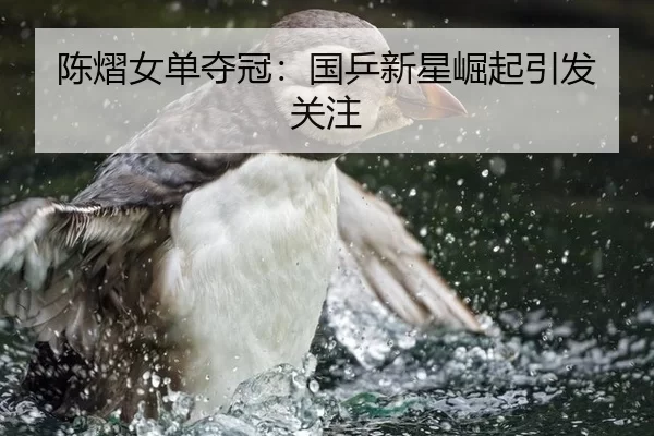 陈熠女单夺冠：国乒新星崛起引发关注