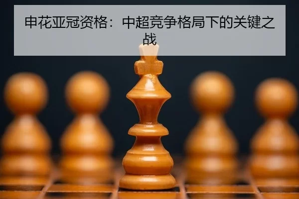 申花亚冠资格：中超竞争格局下的关键之战